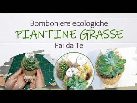Come confezionare piantine grasse per matrimonio