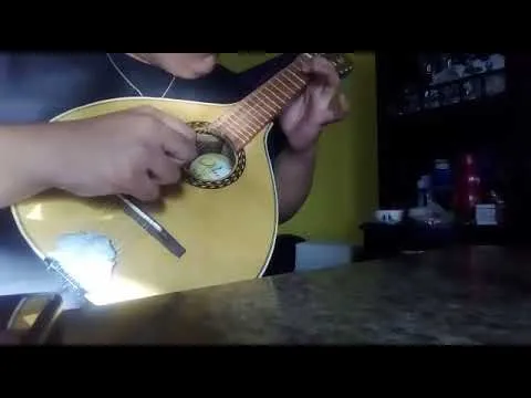 La mandolina matrimonio com